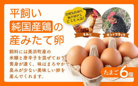 【先行予約】お野菜セット 旬の夏野菜と平飼い卵のお楽しみボックス【2026年7月上旬以降順次発送予定】 [m75-a002]