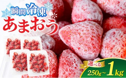 
                   ＜選べる容量＞福岡県産 冷凍あまおう250g～1kg
                