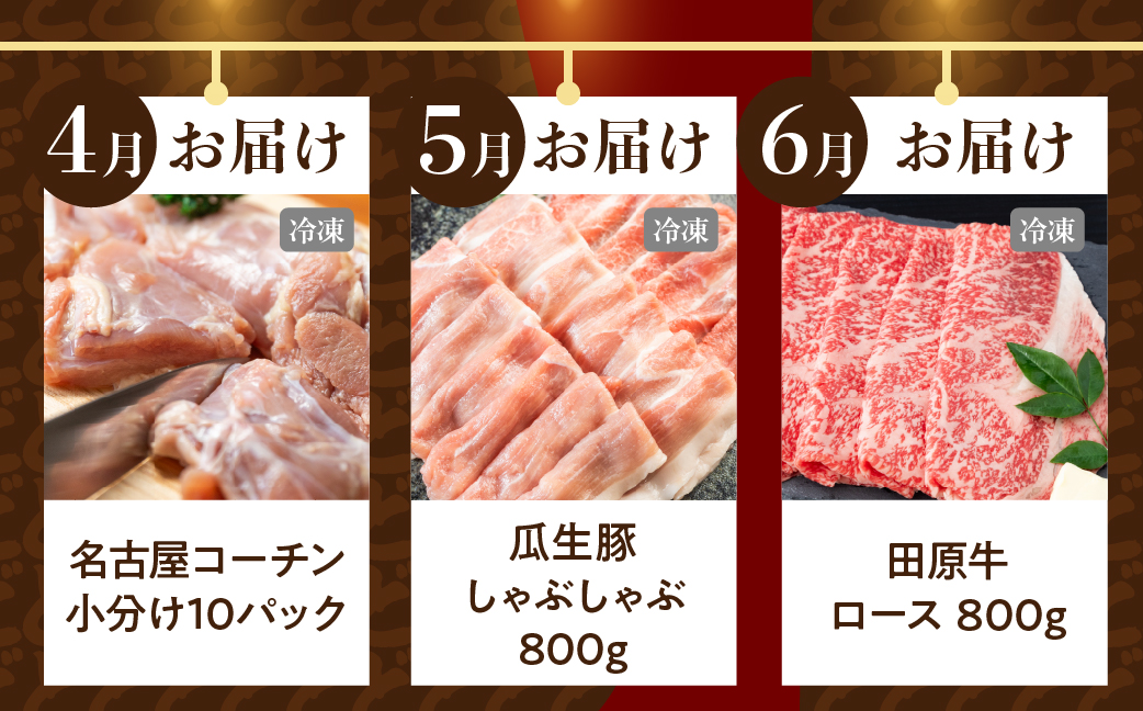 渥美半島の恵み  定期便 12回 肉コース 肉  ( いちご / 餃子 / 親子丼 / 名古屋コーチン/ ブランド豚 / 牛肉 / マスクメロン / 田原牛 / ジェラート / 焼き鳥 / ミニトマト