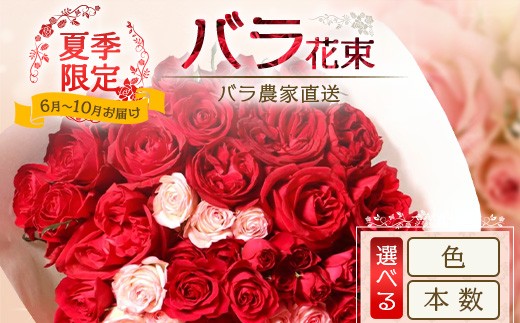 
                  【日付指定必須・ギフト対応可】 《選べる 本数・カラー》 夏季限定 ばら農家直送！バラ花束 TB-1-8SKU｜鹿児島県 南大隅町
                
