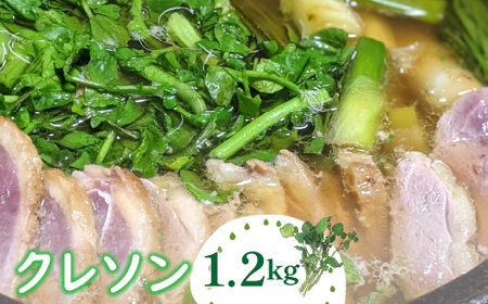 クレソン 1200g ※北海道・沖縄・離島への配送不可 ※着日指定不可 DSL006