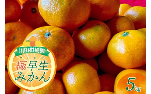 【先行受付】 【2026年10月上旬～発送】 川田柑橘園 呉市大長産 「極早生みかん」5kg みかん わせみかん ごくわせみかん さわやか ジューシー 広島県呉市 呉市 ku055-004-26