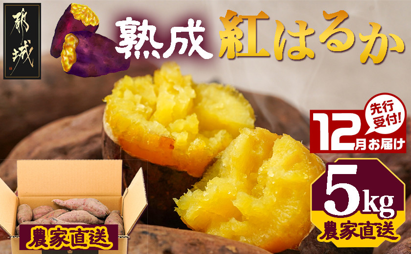 
            先行受付!【12月お届け】【農家直送】山下農園　熟成紅はるか 5kg_LF-I701-12_(都城市) 都城産 紅はるか S～2Lサイズ混合 山下農園 さつまいも兄弟 長期熟成 甘い 
          