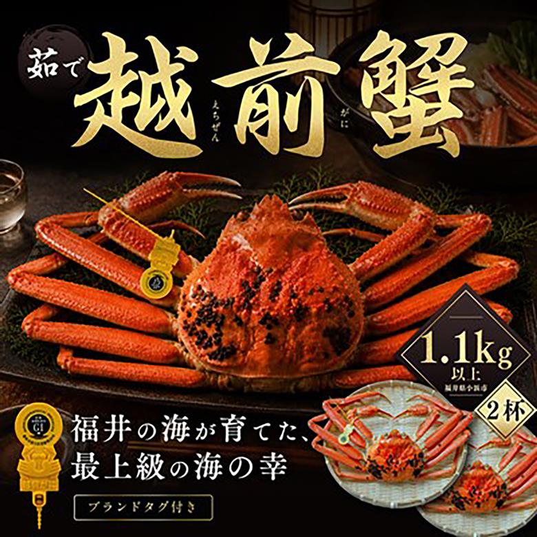 【先行予約/11月18日より順次配送】越前がに 1.1kg×2杯 茹で 福井県産ズワイガニ / かに カニ 蟹 越前ガニ ズワイガニ ボイル / 小浜市 / 一進わかさ【配送不可地域：北海道・沖縄・離