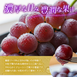 ぶどう あづましずく 種なし 計約1kg 2房 ぶどう