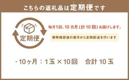 【10ヶ月定期便】 訳あり 静岡県産 アローマメロン 1玉 （1玉 約1.0kg以上） （合計10玉） 10回定期便 訳アリ 理由あり わけあり メロン 青肉メロン ブランドメロン 果物 果実 フルー