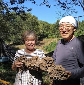 阿賀町産乾燥スライスしいたけ（菌床）250g（50ｇ×5袋）