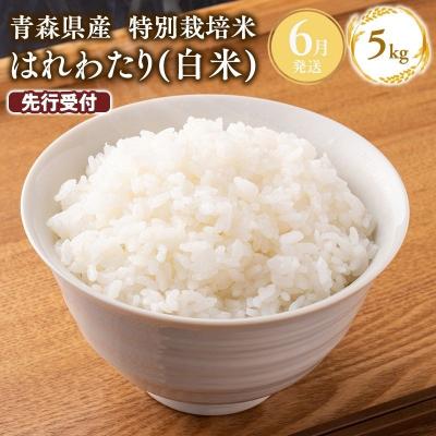 ふるさと納税 平川市 ≪令和9年6月発送≫特別栽培米 はれわたり白米5kg