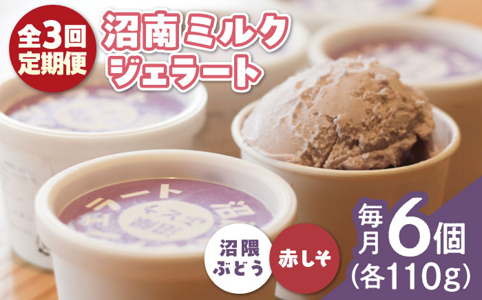【全3回定期便】沼南ミルクジェラート 沼隈ぶどう＆赤しそ　各3個　食べ比べセット　アイス  ぶどう 赤しそ アイス アイスクリーム デザート スイーツ ご当地 広島県福山市/甚ごろう [BAEC046]