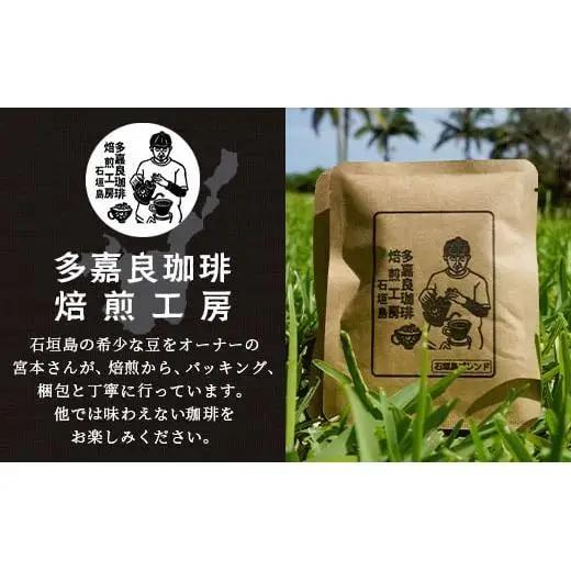 自家焙煎ドリップバッグ 11g×24個入　TR-1-1