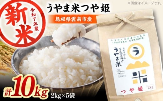 お米【新米】神話の里/吉田町「うやま米」つや姫 10kg（2kg×5）白米 精米 コメ おこめ お米 つやひめ おすすめ 人気 米 ごはん ご飯 食卓 主食 ブランド米 お取り寄せ グルメ ご当地米 家族 ファミリー 一人暮らし 便利 10キロ おいしい ごはんソムリエ 種もみ ミネラル 国産 新生活 お弁当 朝ごはん 朝食 昼食 ご当地  島根県雲南市/有限会社藤本米穀店 [AIDB088]
