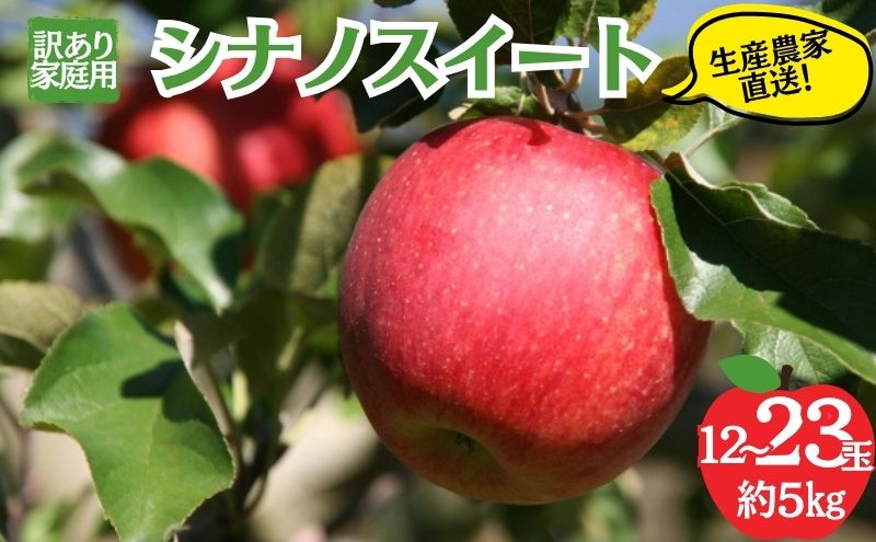 シナノスイート 訳あり家庭用 約5kg 12～23玉 りんご 果物 訳あり 信州 長野