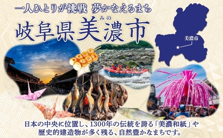 飛騨牛 モモ・カタ すき焼き・しゃぶしゃぶ 飛騨牛【500g】