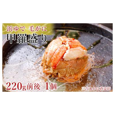 ふるさと納税 白老町 【浜ゆで】北海道産毛ガニ甲羅盛り1個(220g前後1個) |  | 01