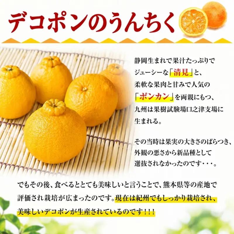 田村産「デコ」不知火[約2.8kg]湯浅町田村産春みかん(果実サイズおまかせ)/紀伊国屋文左衛門本舗　※2027年2月中旬～3月下旬頃に順次発送予定(お届け日指定不可)【kstb493B】