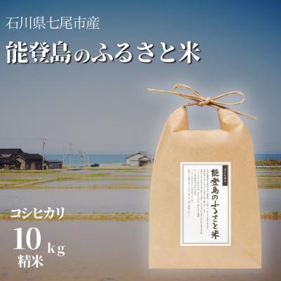 ふるさと納税 七尾市 【3ヵ月毎定期便】能登島のふるさと米　コシヒカリ10kg　精米全4回