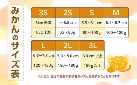 和歌山県産 糖度 12.5度以上 訳あり みかん 3kg 3Ｓ～Ｌサイズ混合【MG56】