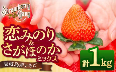 【先行予約】いちご イチゴ 1kg （約250g×4パック）恋みのり・さがほのかミックス 壱岐島産 【Strawberry Gang】 [JEM001] 14000 14000円