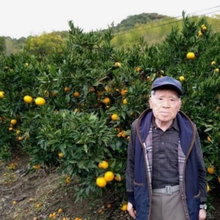 みかん【先行受付】【2026年1月末以降発送】濃厚な甘さが特徴！訳あり青島みかん ＜約5kg＞ 広島 三原 佐木島 鷺島みかんじま 017067