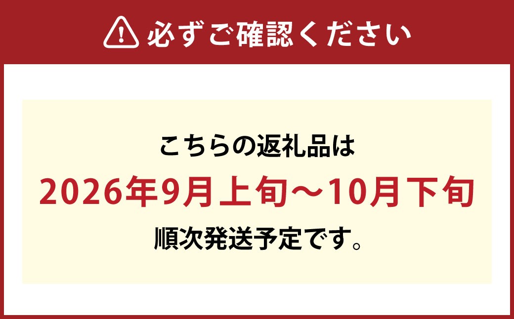 【露地栽培】岡山県産ニューピオーネ2房入り（1房580ｇ以上）
