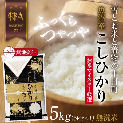 ふるさと納税 十日町市 【のし付き】無洗米 魚沼産 コシヒカリ 5kg  美味しい炊き方ガイド付