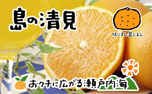 清見タンゴール 4kg 【2026年4月上旬から発送予定】 愛媛 中島産 | みかん 柑橘 みかん 清見 タンゴール みかん 清見 みかん 柑橘 希望の島