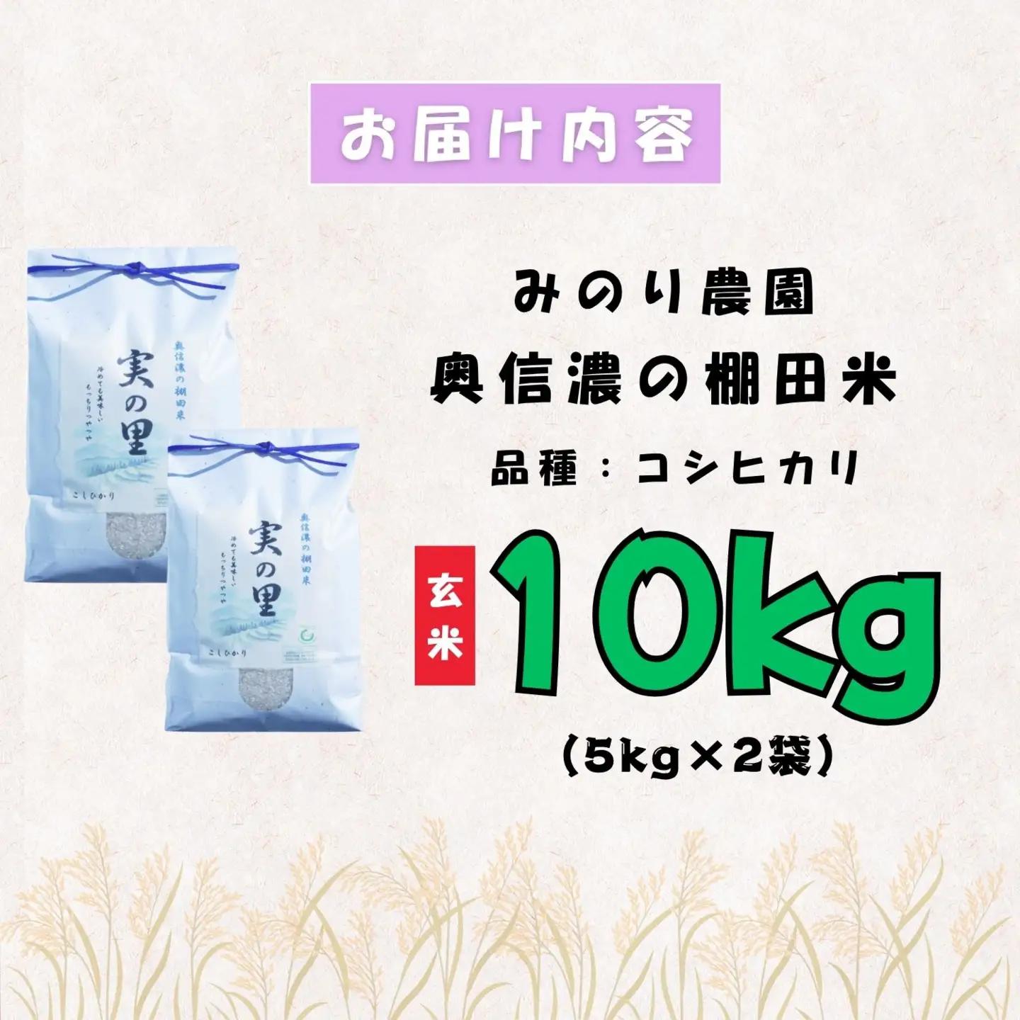 【新米予約】 特別栽培米 こしひかり 玄米 10kg 『奥信濃の棚田米 実の里』
