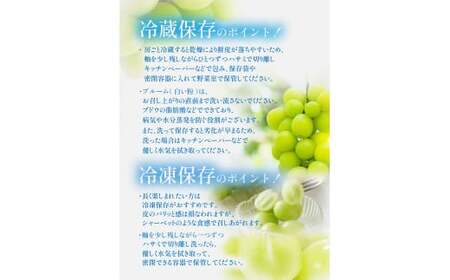 【岡山県産】晴王 シャインマスカット 約2.0kg以上 【2025年9月上旬〜11月下旬発送予定】 マスカット ぶどう ブドウ 葡萄