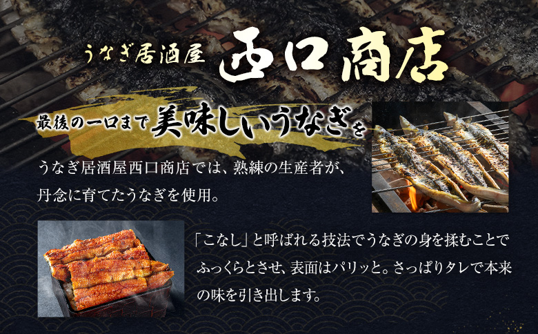 うなぎ居酒屋西口商店の「うなぎの佃煮」40g以上×2袋 国産 数量限定【B654】