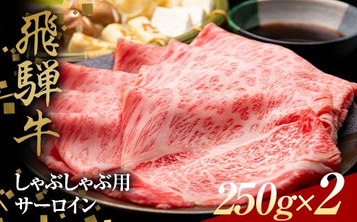 飛騨牛 しゃぶしゃぶ用 サーロイン 250g×2 赤身 鍋 スライス肉 F4N-1641