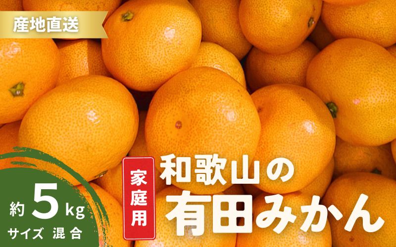 【1月発送】家庭用 有田みかん 和歌山 訳あり わけあり S～Lサイズ 大きさお任せ 5kg / みかん フルーツ 果物 くだもの 有田みかん 蜜柑 柑橘【ktn007A-1】