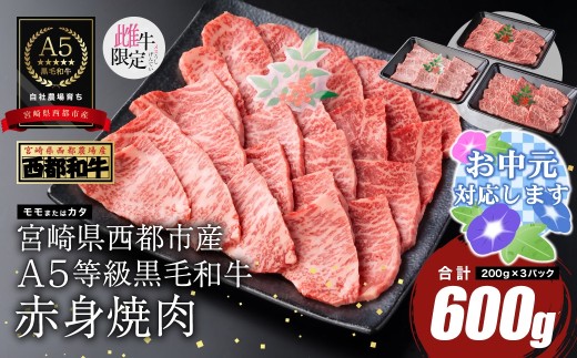 【お中元ギフト】【雌牛限定！最高品質のA5等級 】厳選の黒毛和牛 赤身焼肉 600g （200g×2）小分け 牛肉 国産 宮崎県産 西都市産【カミチクファーム・西都和牛】＜1.4-6＞62-4a　