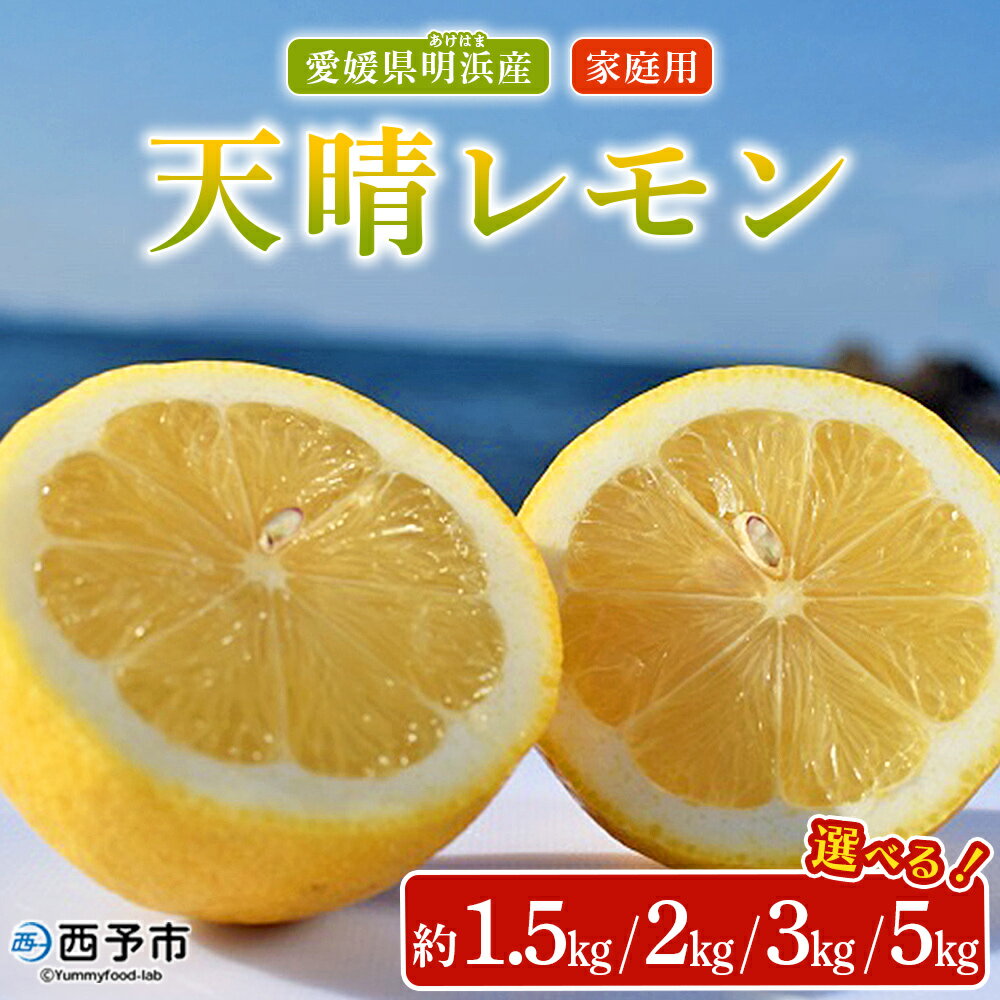 【ふるさと納税】＜天晴レモン ご家庭用 約1.5kg/2kg/3kg/5kg＞ フルーツ 果物 くだもの レモン れもん 檸檬 柑橘 訳あり わけあり ワケアリ 自宅用 料理 国産 国産レモン 愛媛県産 特産品 株式会社笑丸 愛媛県 西予市【常温】『2025年9月～2026年1月に順次出荷予定』