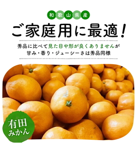 有田育ちのご家庭用完熟 有田みかん 6kg ※11月上旬～12月下旬頃より順次発送【ard186】