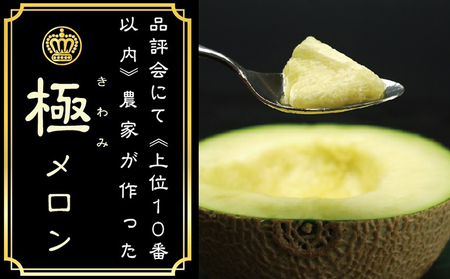 メロン 極み×1玉 果物類 青肉 おすすめ 人気 メロン