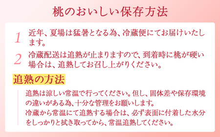 【農園直送】朝採れの和歌山の桃　約4kg・秀品【2026年度発送分】｜ 桃