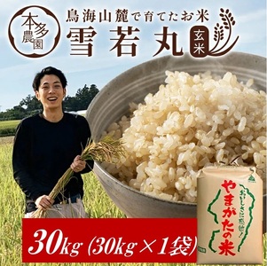 SH0050　令和7年産【玄米】雪若丸　30kg(30kg×1袋) HO