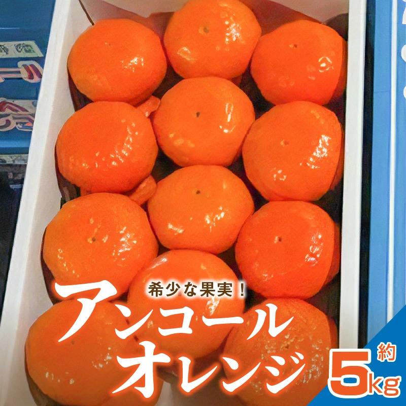 M02-0106_【ふるさと納税】【先行予約】【配送不可地域:北海道・沖縄県・離島】希少な果実!「アンコールオレンジ」 約5kg  秋 旬
