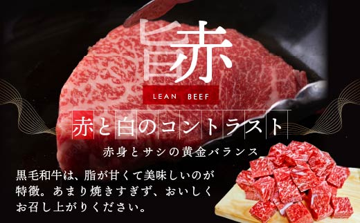 【定期便】黒毛和牛「サイコロステーキ 用 500g × 6ヵ月 【全6回】