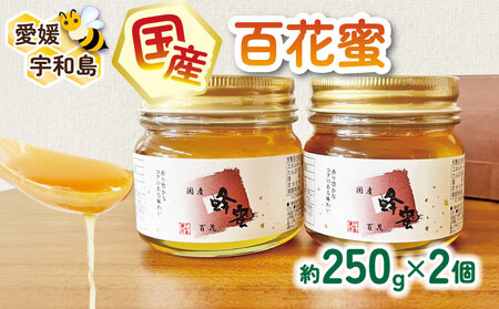 ＼10営業日以内発送／  国産はちみつ 百花蜜 250g × 2本 セット 宇和島農産 純国産はちみつ 瓶 蜜 人気ハチミツ 国産純粋はちみつ 非加熱 はちみつ 蜂蜜 ハニー 百花蜂蜜 百花はちみつ 純粋はちみつ 生はちみつ 天然はちみつ 産地直送 国産 愛媛 宇和島 F012-132008