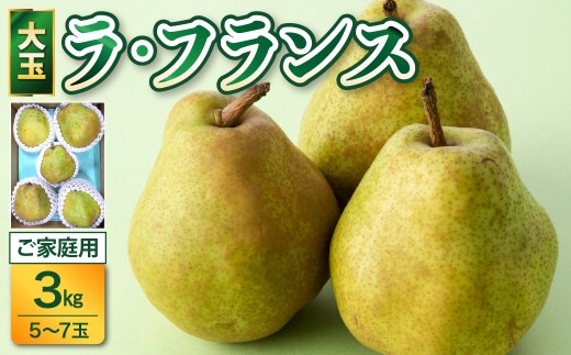 ラフランス 3kg 大玉 ご家庭用 5玉~7玉 7L~5L 西洋梨 ラ・フランス フルーツ 果物 0017-2616