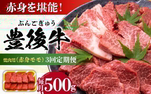 【全3回定期便】おおいた豊後牛 赤身モモ 焼肉用 500g 日田市 / 株式会社MEAT PLUS 牛肉 おおいた豊後牛 おおいた 豊後牛 黒毛和牛 国産 赤身 モモ もも 焼肉 焼肉用 和牛 [AREI092]