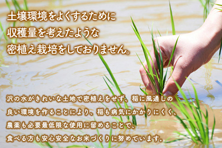 【無洗米】備蓄米 あきたこまち 5kg(2.5kg×2袋) 秋田県産 令和7年産  こまちライン 災害時 緊急時の備えに
