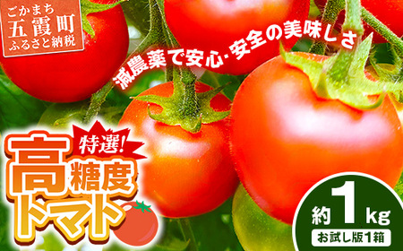 山中トマト農園がお届けする！五霞町の特選 高糖度トマト お試し 1箱（約1kg）／ 完熟 甘い 減農薬 こだわり リコピン エクセレントトマト 中玉トマト 野菜 とまと 茨城県 五霞町