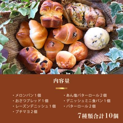 ふるさと納税 椎葉村 《3ヶ月定期便》【秘境・椎葉村の愛されパン屋さん】天然酵母パン 詰め合わせ 7種10個セット |  | 02