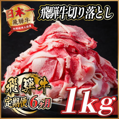 【ふるさと納税】【毎月定期便】飛騨牛　切り落とし　約1kg【冷蔵便】全6回【配送不可地域：離島】【4055087】