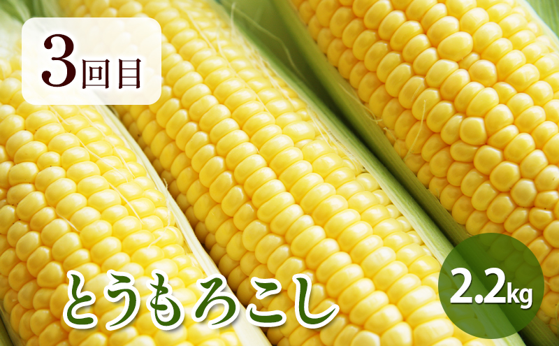 【2026年春～秋発送】北海道 定期便 6ヵ月 連続 全6回 ふらの産野菜セット富良野市 野菜 新鮮 直送 アスパラ スナップえんどう とうもろこし ミニトマト ほれまる さくら じゃがいも 男爵 たまねぎ 道産 ふらの 送料無料 数量限定 先着順