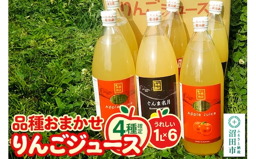 
										
										果樹園マンサーナ りんごジュース おまかせ1L×6本セット
									