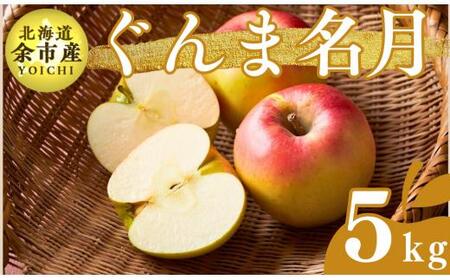 【先行受付：2025年11月上旬以降発送】余市産 ぐんま名月 松村農園産のりんご 5kg_Y067-0198