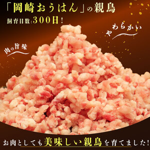 【定期便3回】平飼い地鶏の ミンチ 1kg×3回 (合計3kg) 岡崎おうはん 愛媛 愛南町 ブランド 希少 ローカルスタンダード